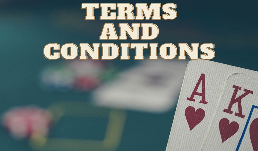 Casino Offer Terms and Conditions