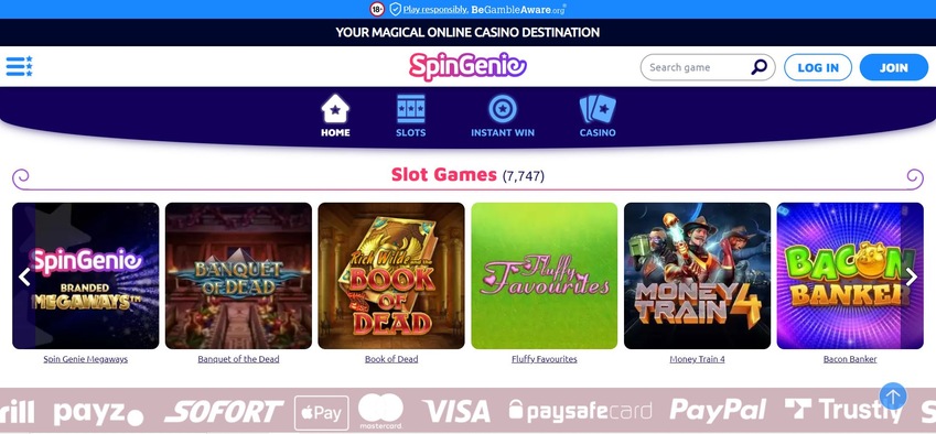 Spin Genie Website